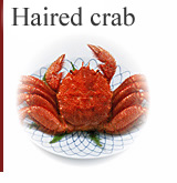 Haired crab 