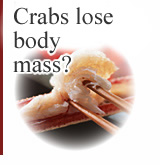 Crabs lose body mass?